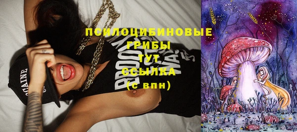 гидра Заволжск