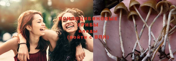 мефедрон мука Заводоуковск