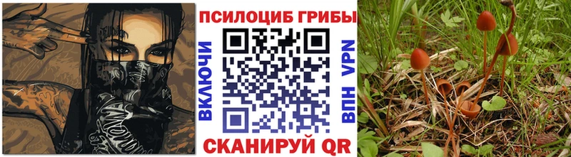 Купить закладки  Данилов  Псилоцибиновые грибы MAGIC MUSHROOMS 